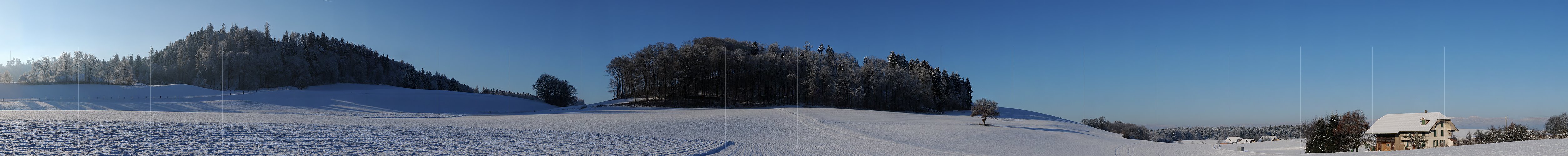 P004486: Grosspanorama Winterlandschaft mit Einzelbaum und Haus