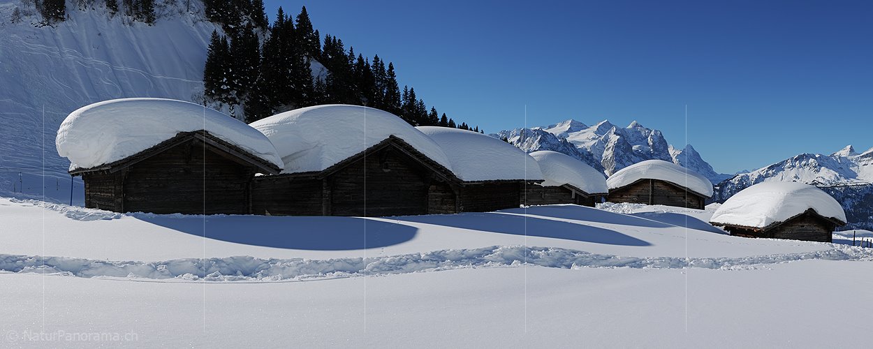 P004678: Panorama Alphütten vor Bergkulisse