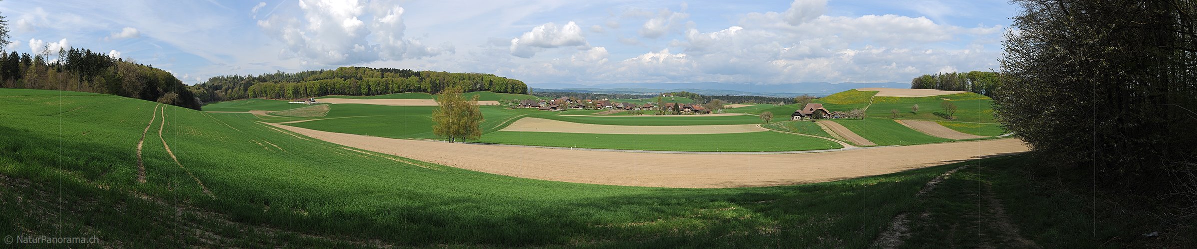 P004818: Panoramabild Frühlingslandschaft mit Kulturland und Bauerndorf