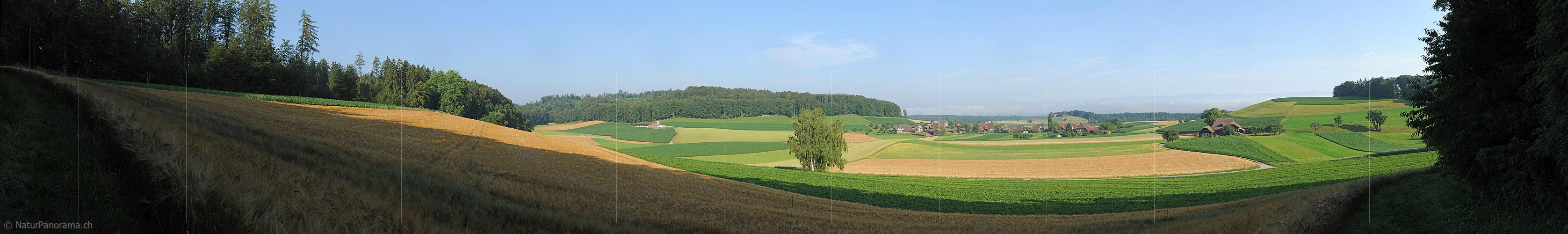 P005286: Panoramic picture Cultural landscapes
