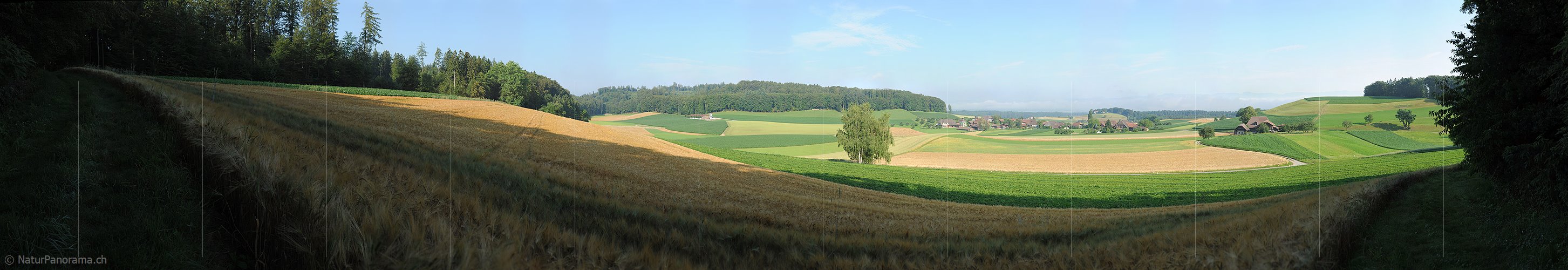 P005287: Grosspanoramabild Getreidefelder