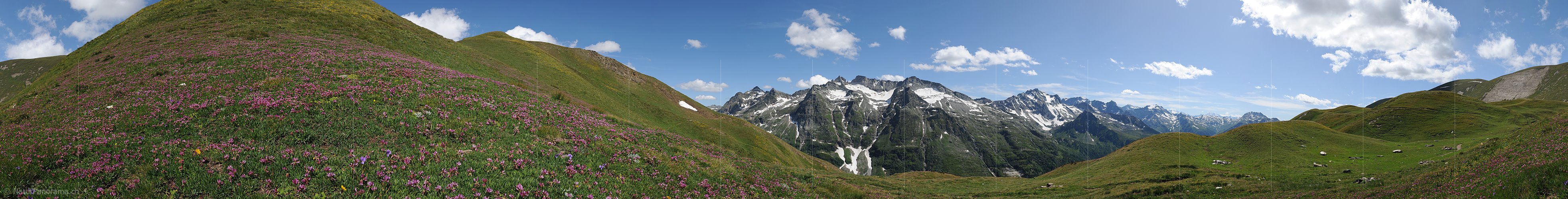 P005349: Panoramabild Bergsommer