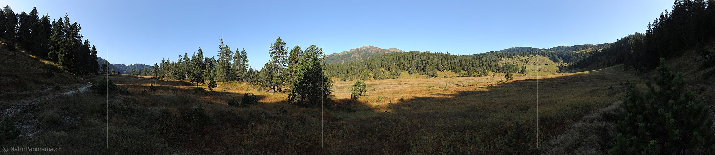 P005567: Grosspanoramabild Moorlandschaft (Seewen)