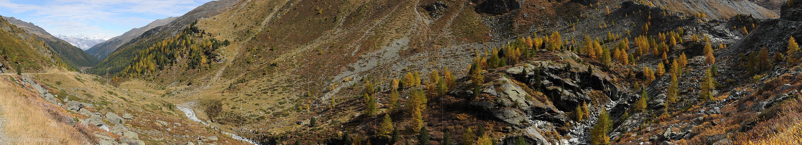 P005713: Panorama Turtmanntal