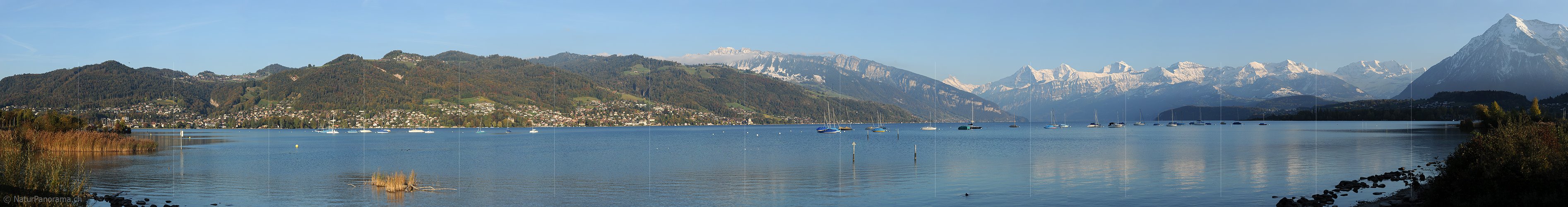 P005781: Panoramabild Herbstabend am Thunersee (Alpenrandsee)
