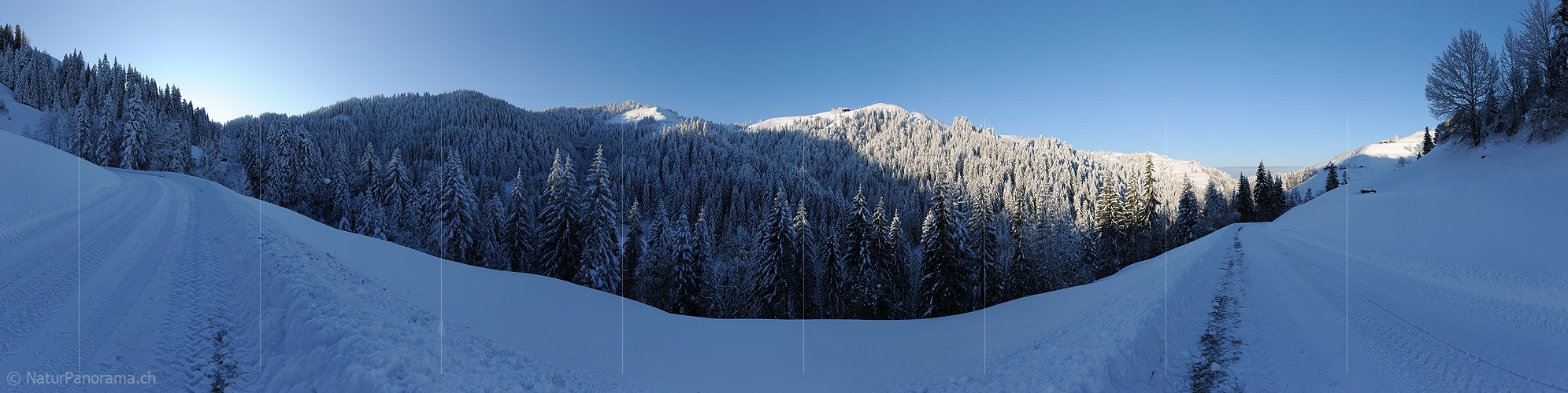 P005922: Hochauflösendes Panoramabild Frisch verschneite Winterlandschaft