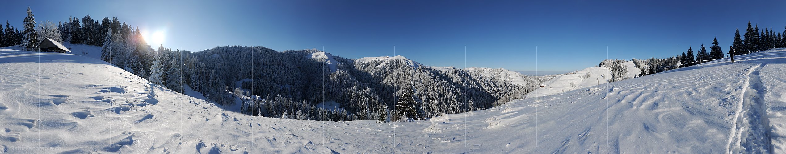 P005925: Hochauflösendes Panoramabild Schneelandschaft