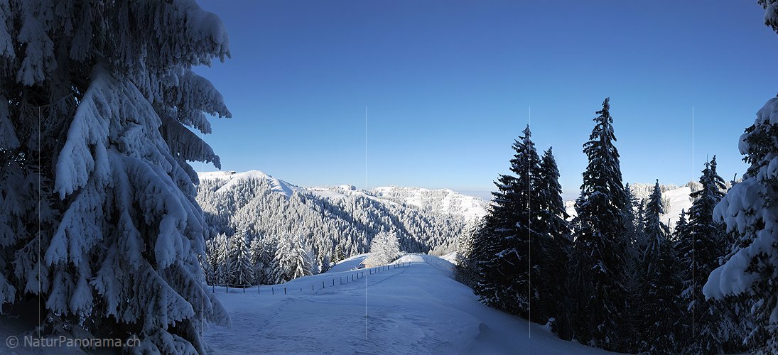 P005927: Panoramabild Winterlandschaft