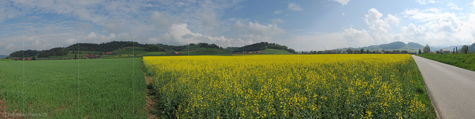 P006108: Panorama Frühlingslandschaft