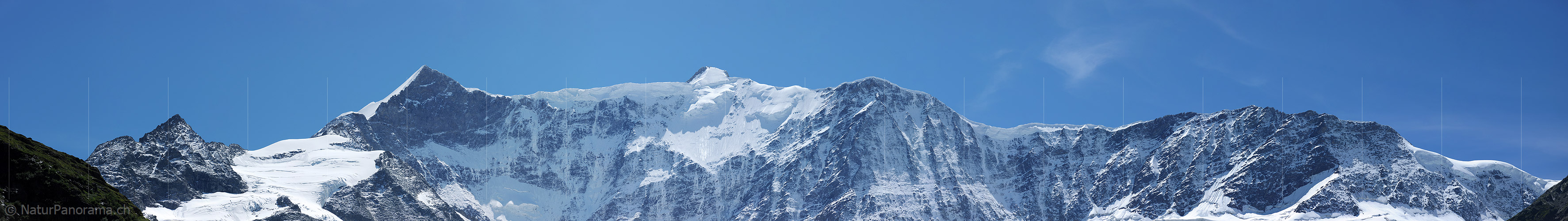 P006598: Panoramabild Ochs, Gross Fiescherhorn, Walchergrat und Walcherhorn