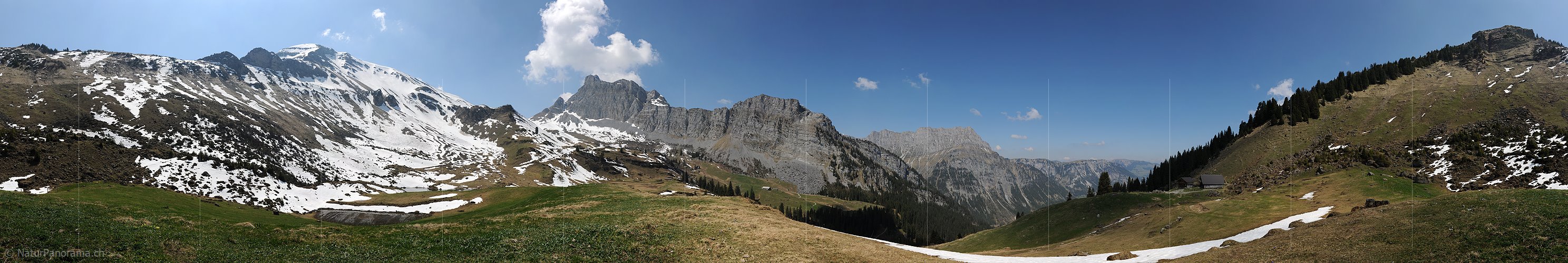P007453: Panoramabild Grimmi, Diemtigtal