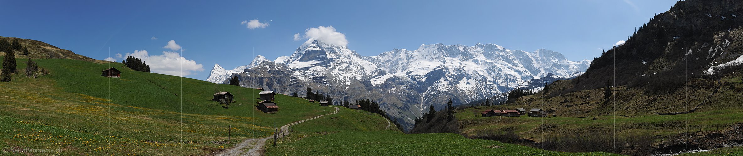 P007530: Panoramabild Spilbodenalp, Mürren