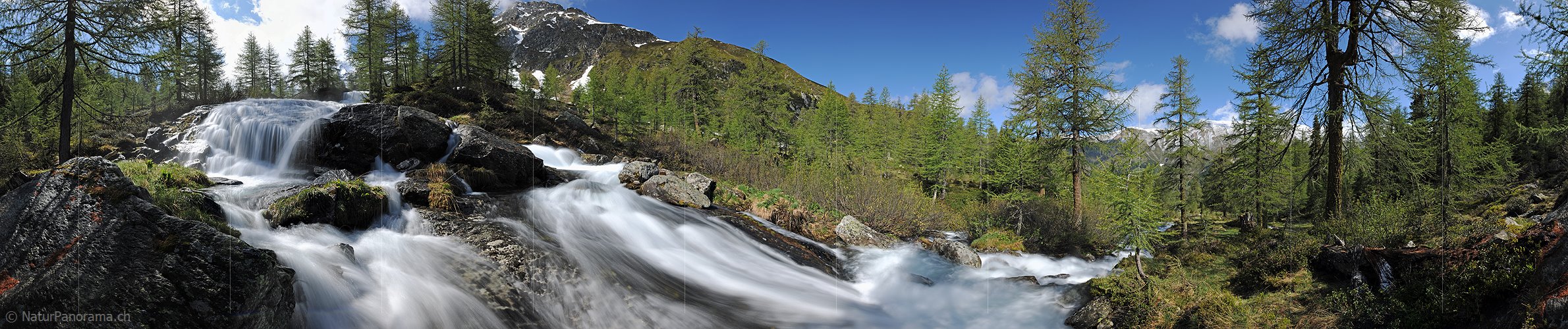 P007627: Panoramabild Wasserfall in lichtem Lärchenwald (Bergbach, Langzeitbelichtung)