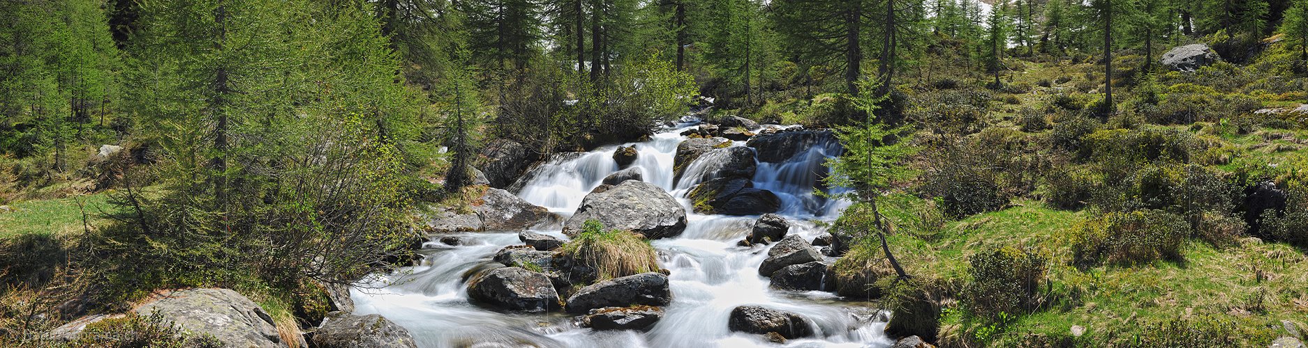 P007645d: Panoramafoto Gestufter Bergbach in Naturlandschaft
