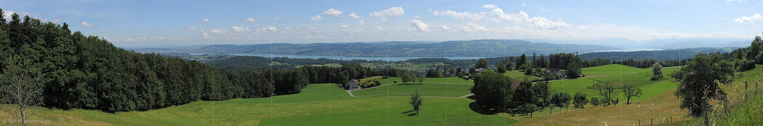 P007754a: Panoramic picture lake Zurich of the Albispass (Zurich, Switzerland)