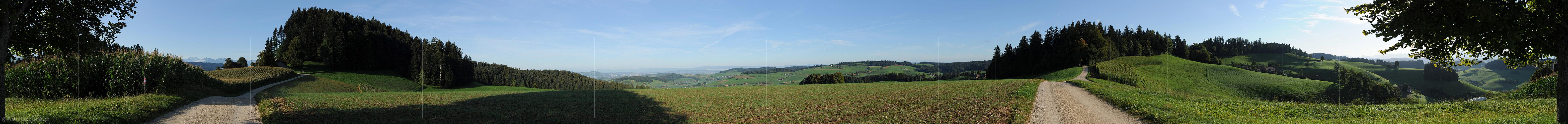 P008436: 360° Panoramaic image Corn field and track in hilly landscape
