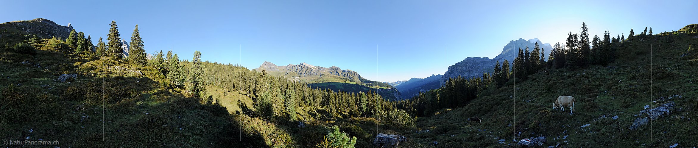 P008446: Panoramabild Morgenstimmung über dem Lauterbrunnental