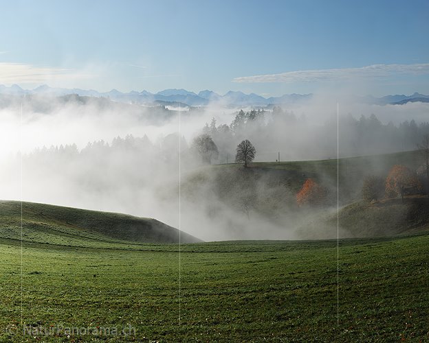 P008785: Grossbild Herbstmorgen in Hügellandschaft