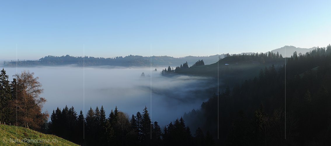 P008803: Panoramabild Morgenstimmung an der Nebelgrenze