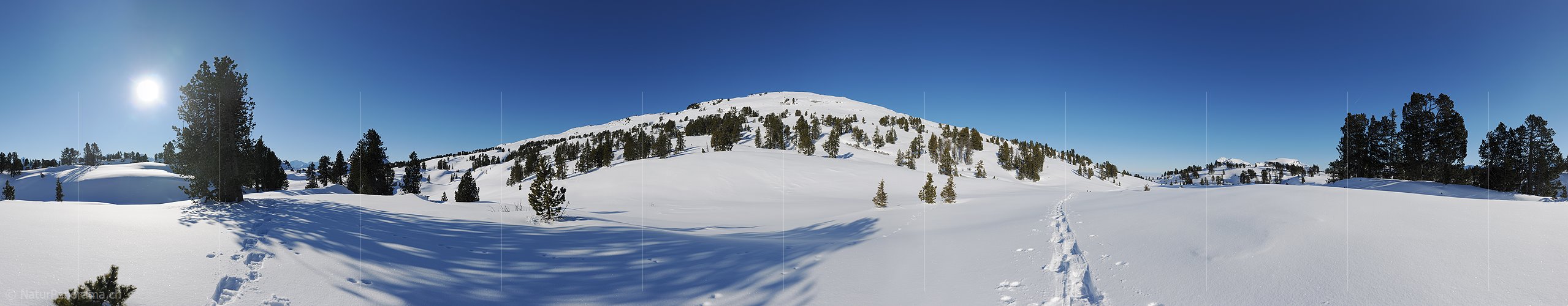 P009021: Hochauflösendes Panoramabild einer Winterlandschaft in den Bergen