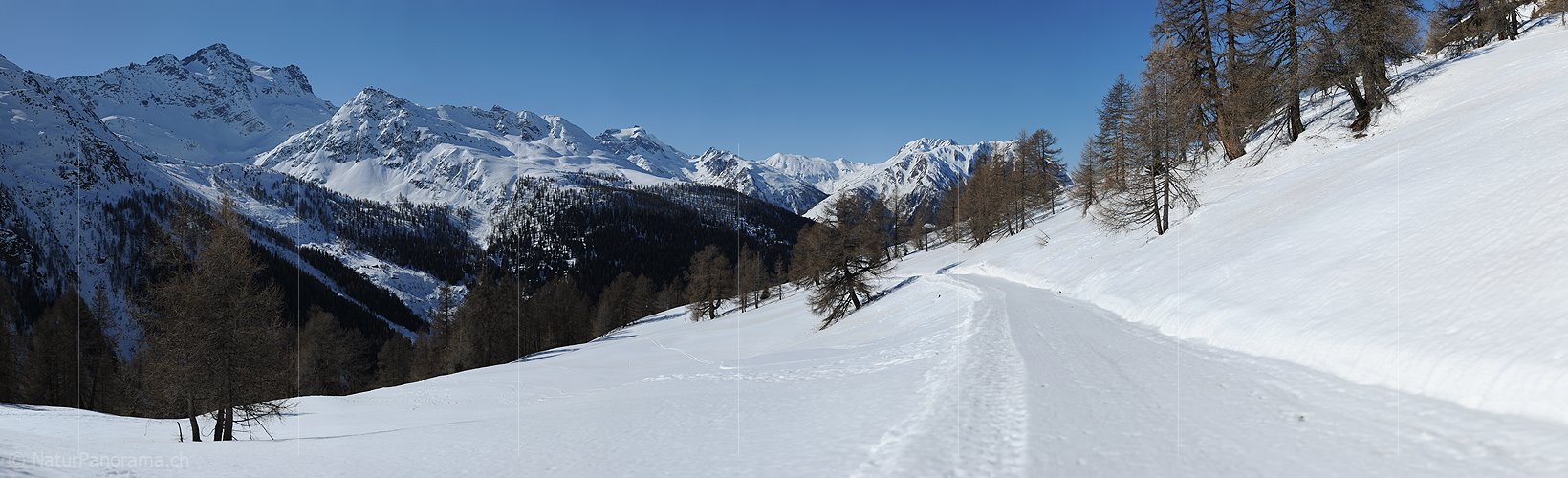 P009077: Panoramabild Winterliche Berglandschaft in den Schweizer Alpen