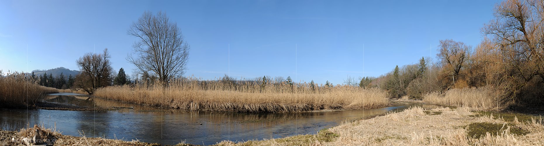 P009104: Grosspanorama Auenlandschaft