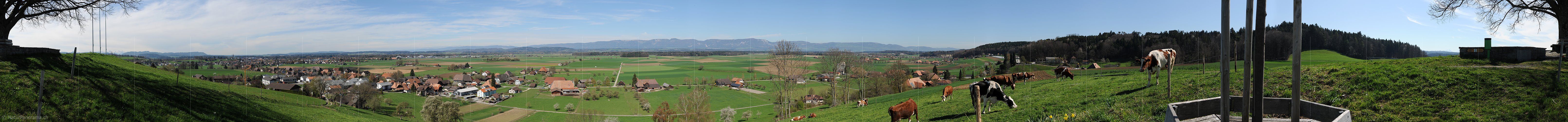 P009342: Panoramabild Berner Mittelland (Flachland)
