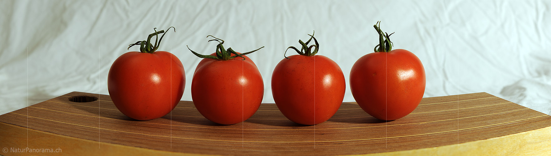 P009351: Panoramabild Tomaten (Gemüse)