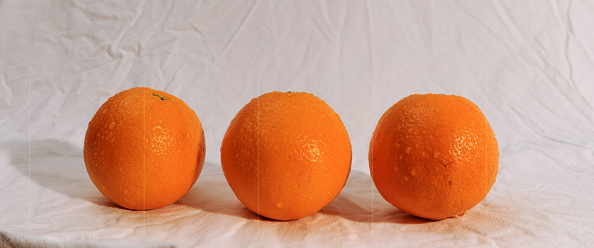 P009363: Panoramabild Orangen (Früchte)