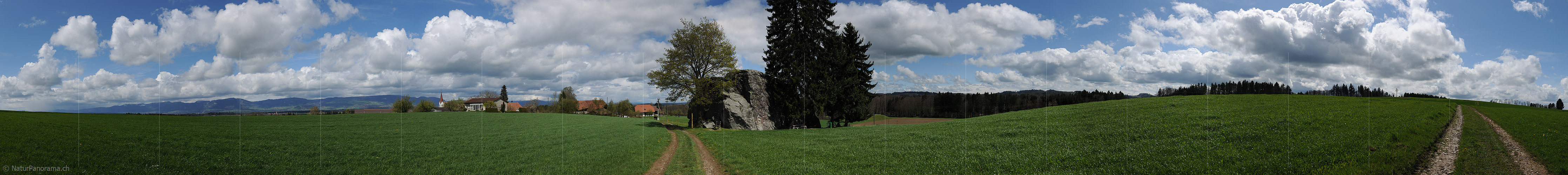 P009421: Panoramabild Findling auf dem Steinhof