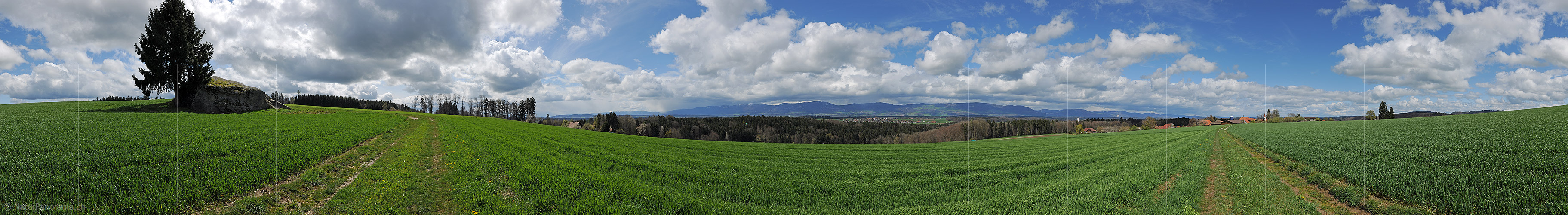 P009422: Panoramafoto Findling auf dem Steinhof