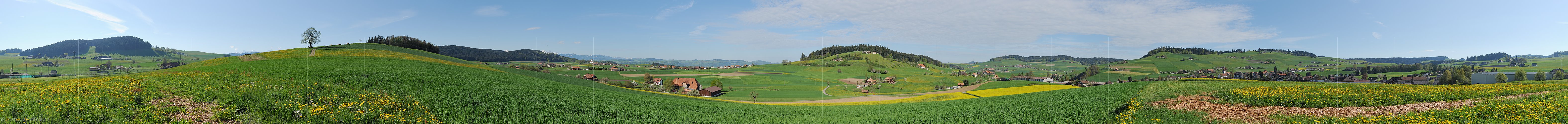 P009631: 360° Panoramafoto einer lieblichen Frühlingslandschaft