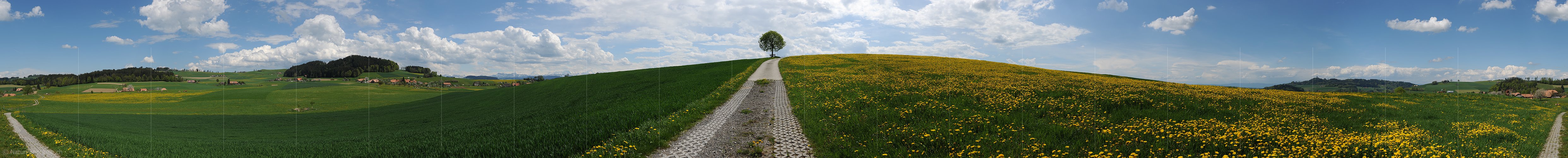 P009644: Panorama Frühlingslandschaft