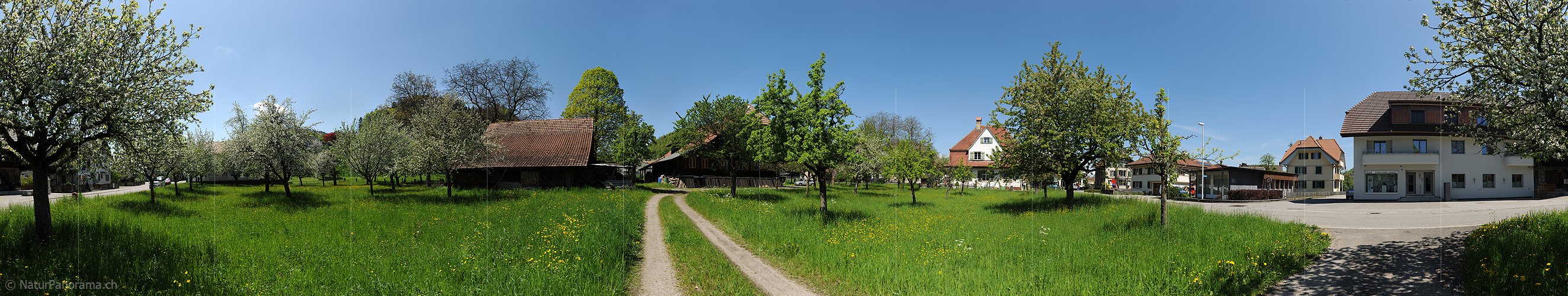 P009656: Grosspanorama Obstgarten in Dorf