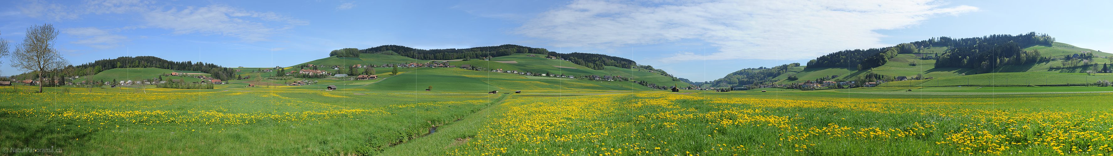 P009661: Gigapixel-Panoramabild Frühling in Hügellandschaft