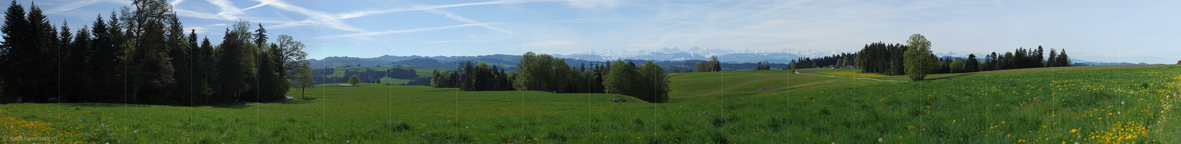 P009705: Kulturlandschaft