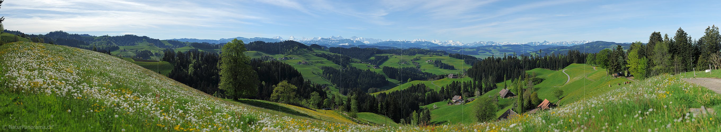 P009719: Gigapixel Panorama Emmentaler Hügellandschaft vor Alpenpanorama