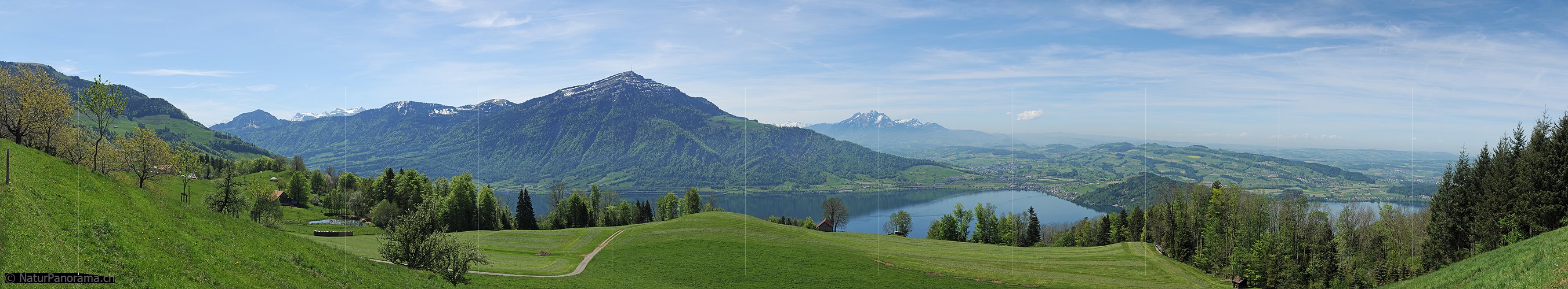 P009757a: Panoramabild Rigi und Zugersee vom Walchwilerberg