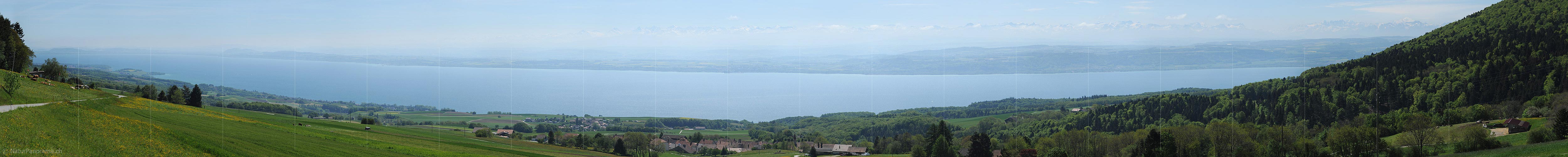 P009786a: Panoramic image Lake Neuchâtel