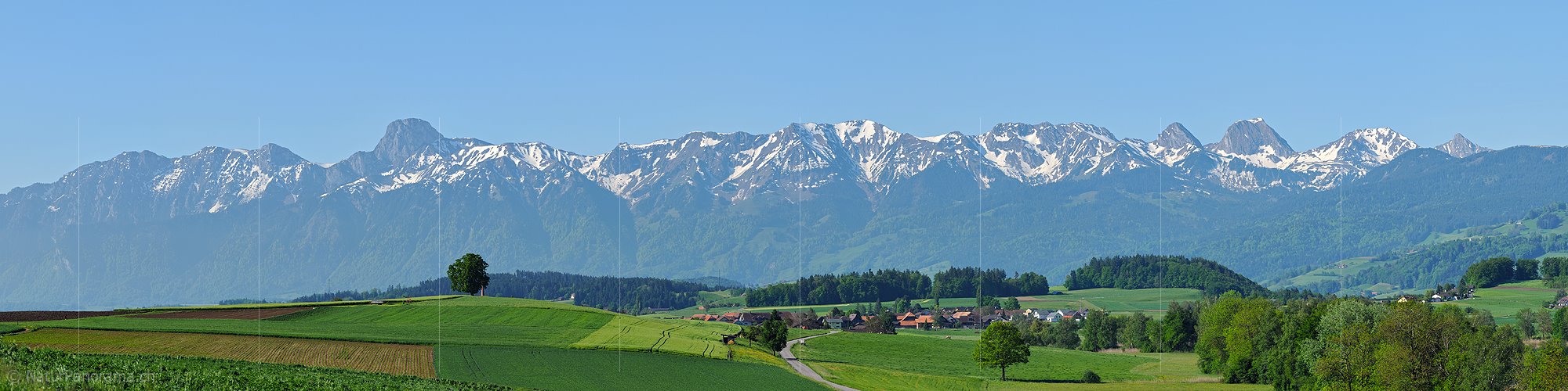 P009792a: Panoramafoto Stockhornkette und Gantrischkette