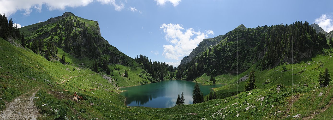 P009959: Panoramabild vom Walopsee oberhalb Boltigen