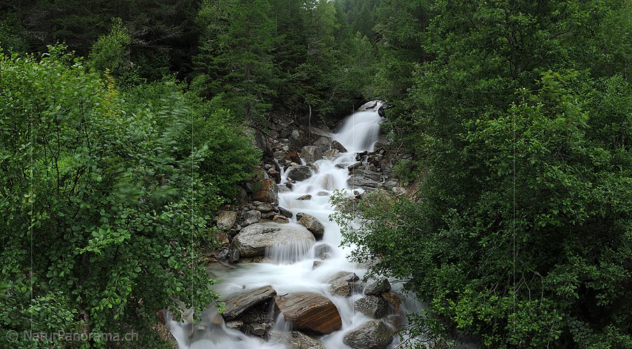 P010042: Grossbild Wasserfall und Bergbach in Wald