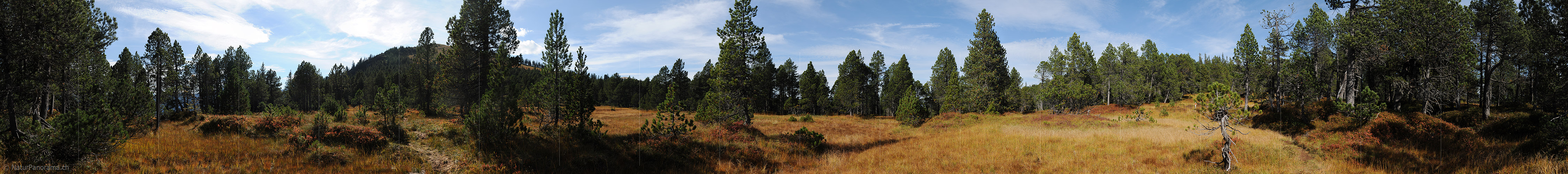 P010741a: Panorama Moorlandschaft