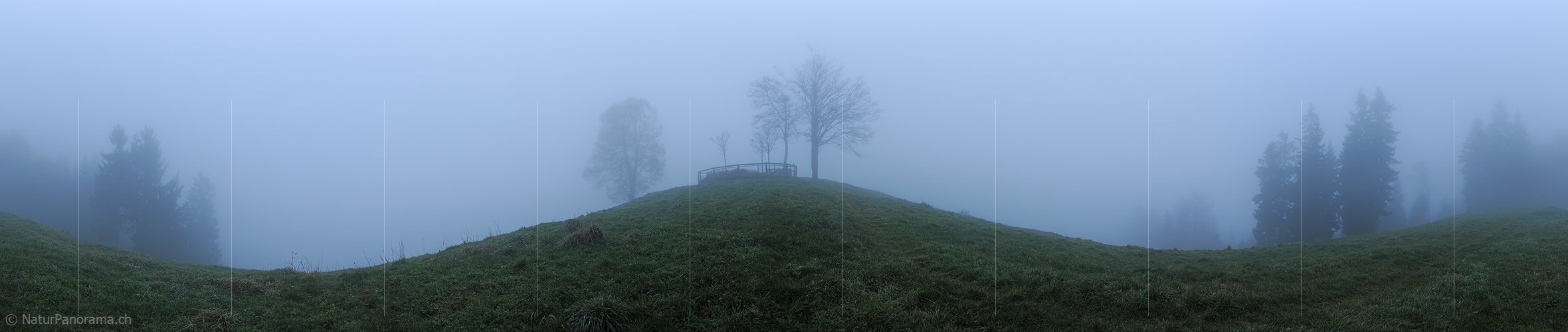 P010833: Panoramabild Baumgruppe und Wald im Nebel