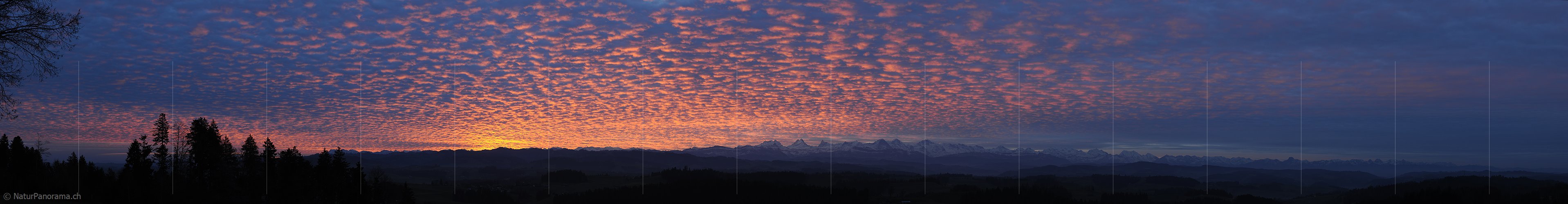 P010985: Panoramabild Dramatische Morgenstimmung mit glühenden Wolken