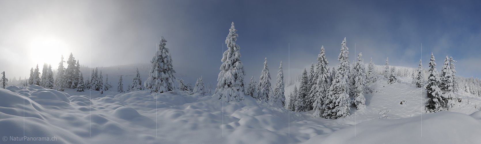 P010996: Panoramafoto Nebelstimmung mit frisch verschneitem Bergwald