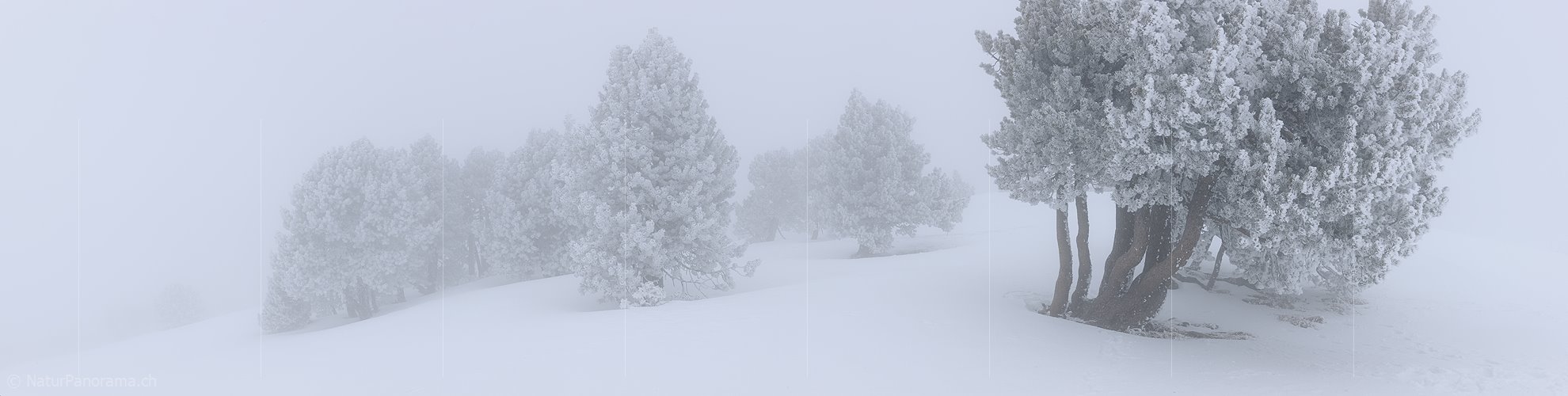 P012061: Panoramabild Im dichten Nebel