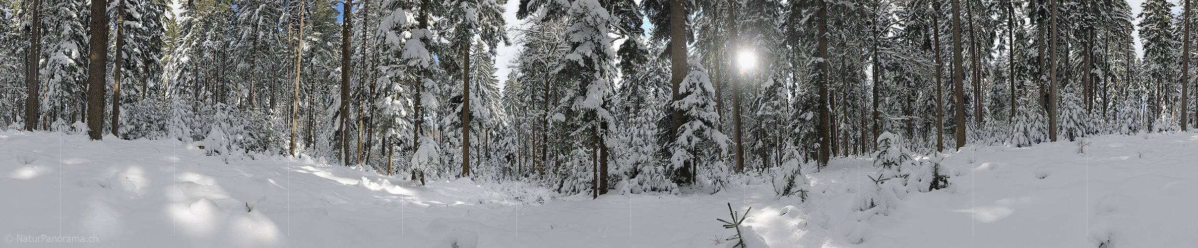 P012112: 360° Panoramafoto Tief verschneiter Winterwald