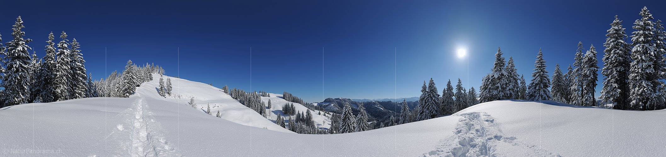 P012124: 360° Gigapixel-Panoramabild Tief verschneite Hügellandschaft
