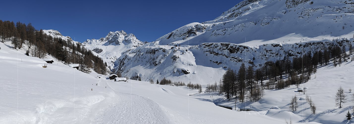 P012214a: Panoramabild Winterliche Berglandschaft mit markantem Berg
